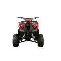 Single Cylinder Mini ATV with EPA Certificate (MDL GA003-2)